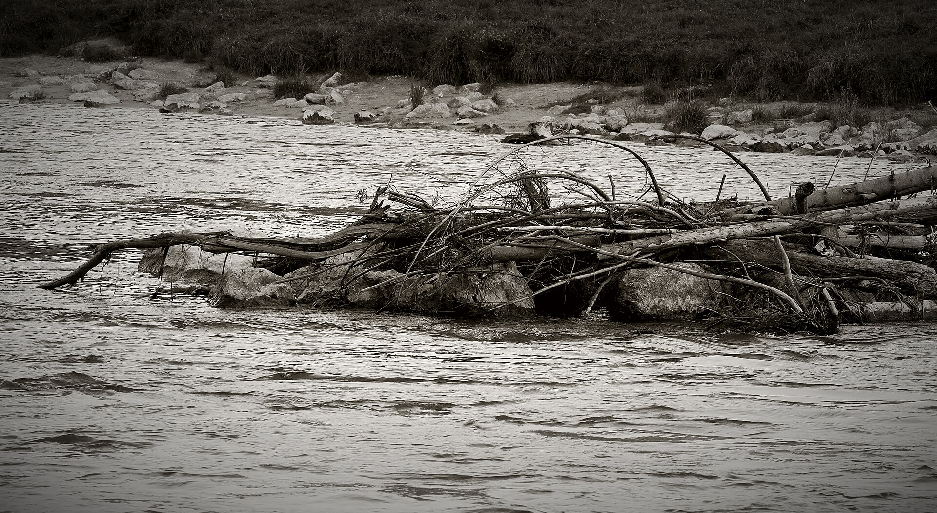 Isar river in Munich with gravel banks and trees